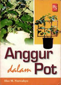 Anggur Dalam Pot