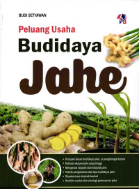 Peluang Usaha Budidaya Jahe