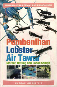 Pembenihan Lobster Air Tawar