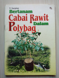 Cabai Rawit Dalam Polybag